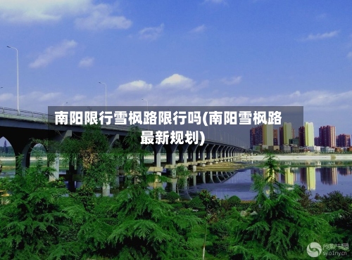 南阳限行雪枫路限行吗(南阳雪枫路最新规划)