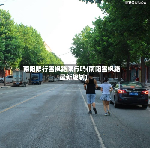 南阳限行雪枫路限行吗(南阳雪枫路最新规划)-第3张图片