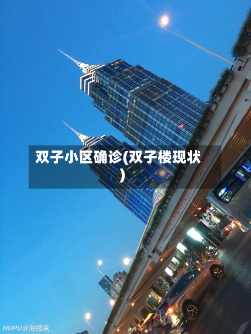 双子小区确诊(双子楼现状)