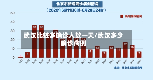 武汉比较多确诊人数一天/武汉多少确诊病例