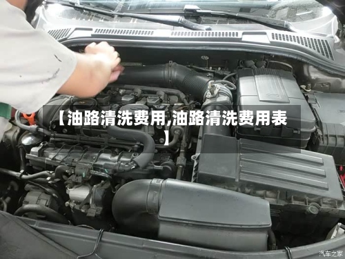 【油路清洗费用,油路清洗费用表】