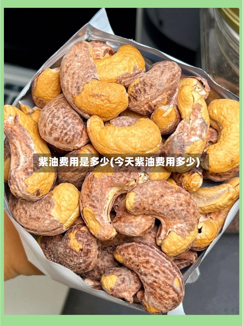紫油费用是多少(今天紫油费用多少)-第3张图片