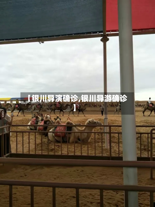 【银川导演确诊,银川导游确诊】