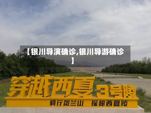 【银川导演确诊,银川导游确诊】-第3张图片