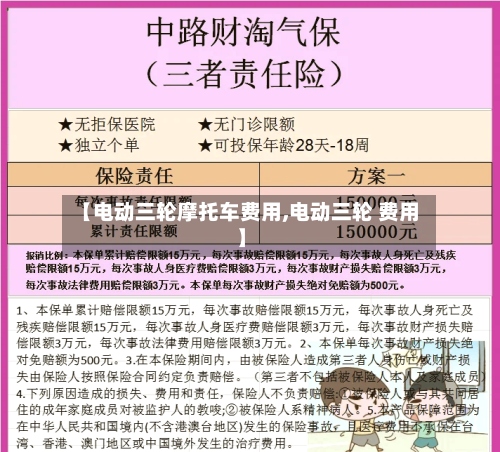 【电动三轮摩托车费用,电动三轮 费用】-第3张图片