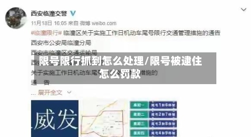 限号限行抓到怎么处理/限号被逮住怎么罚款-第3张图片