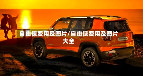 自由侠费用及图片/自由侠费用及图片大全