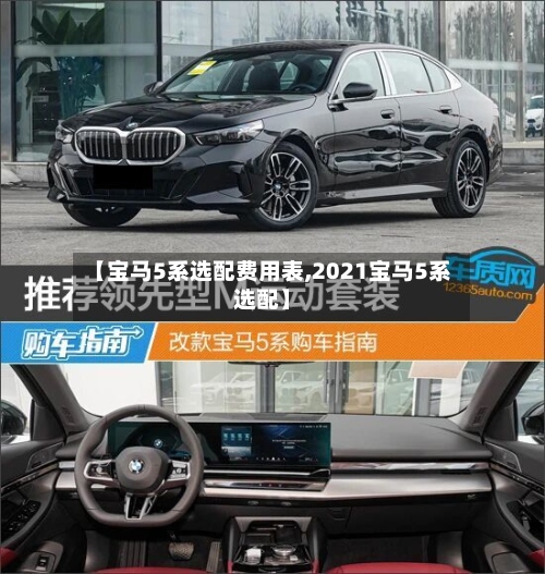 【宝马5系选配费用表,2021宝马5系选配】