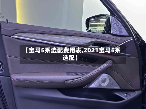 【宝马5系选配费用表,2021宝马5系选配】-第3张图片