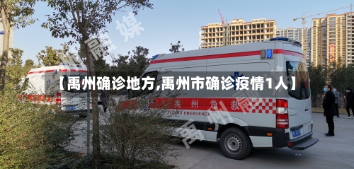 【禹州确诊地方,禹州市确诊疫情1人】-第2张图片