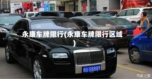 永康车牌限行(永康车牌限行区域)