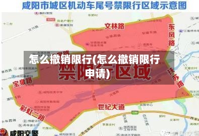 怎么撤销限行(怎么撤销限行申请)-第2张图片