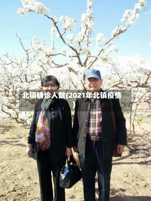 北镇确诊人数(2021年北镇疫情)-第2张图片