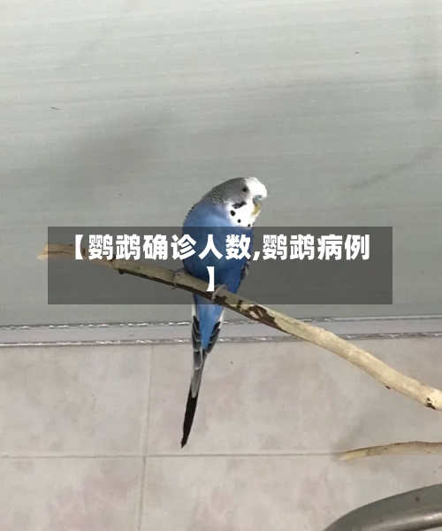 【鹦鹉确诊人数,鹦鹉病例】-第2张图片