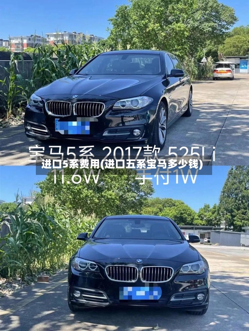 进口5系费用(进口五系宝马多少钱)