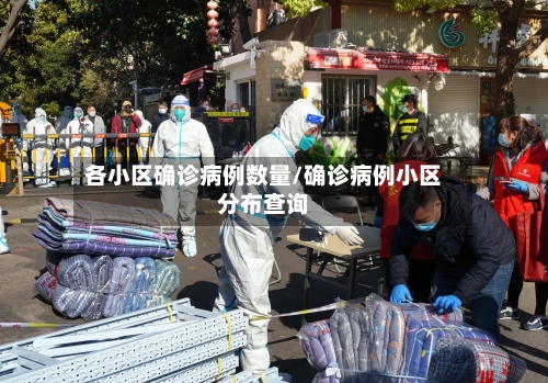各小区确诊病例数量/确诊病例小区分布查询