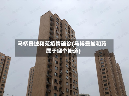 马桥景城和苑疫情确诊(马桥景城和苑属于哪个街道)-第2张图片