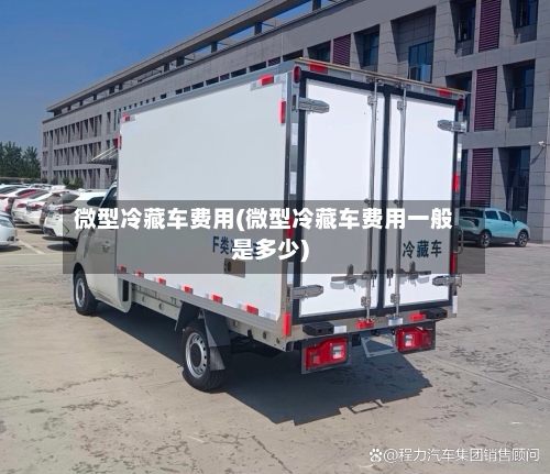 微型冷藏车费用(微型冷藏车费用一般是多少)