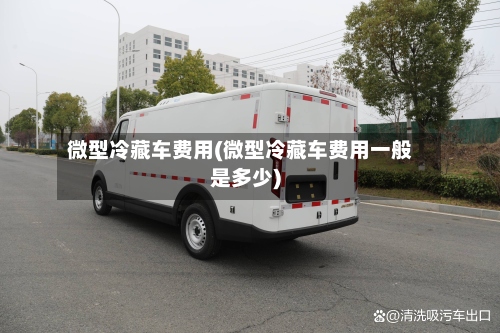 微型冷藏车费用(微型冷藏车费用一般是多少)-第3张图片