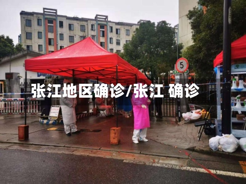 张江地区确诊/张江 确诊