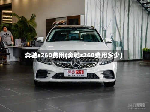 奔驰s260费用(奔驰s260费用多少)-第3张图片