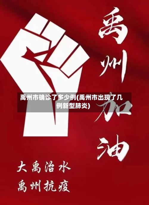 禹州市确诊了多少例(禹州市出现了几例新型肺炎)-第3张图片