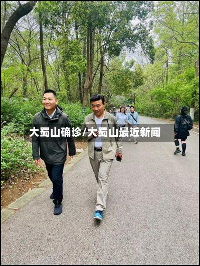 大蜀山确诊/大蜀山最近新闻-第2张图片