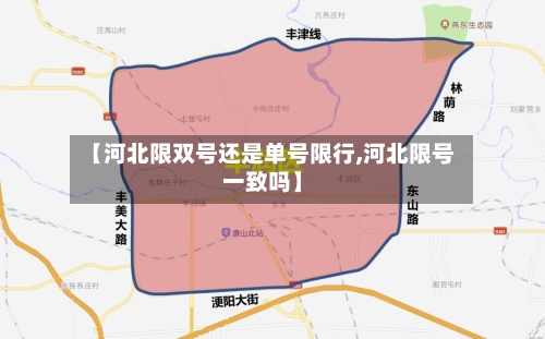 【河北限双号还是单号限行,河北限号一致吗】-第2张图片