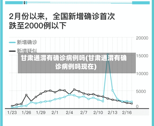 甘肃通渭有确诊病例吗(甘肃通渭有确诊病例吗现在)-第3张图片