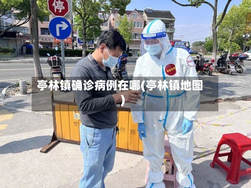 亭林镇确诊病例在哪(亭林镇地图)