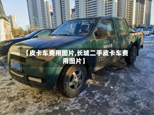 【皮卡车费用图片,长城二手皮卡车费用图片】