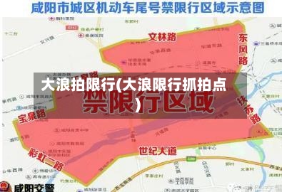 大浪拍限行(大浪限行抓拍点)