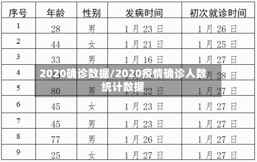 2020确诊数据/2020疫情确诊人数统计数据-第2张图片