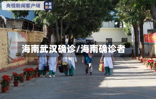 海南武汉确诊/海南确诊者-第2张图片