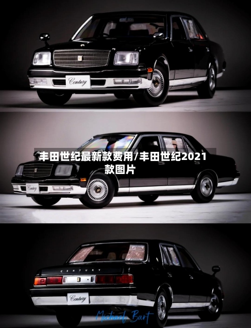 丰田世纪最新款费用/丰田世纪2021款图片-第2张图片