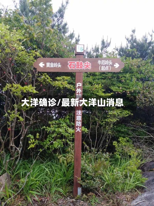 大洋确诊/最新大洋山消息-第2张图片