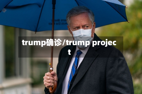 trump确诊/trump project