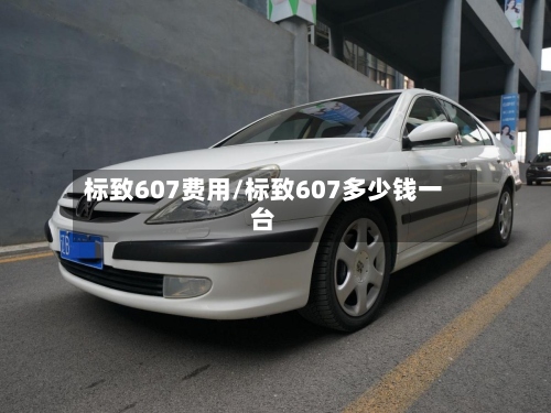 标致607费用/标致607多少钱一台