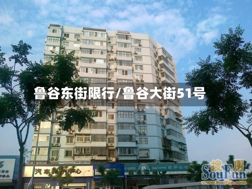 鲁谷东街限行/鲁谷大街51号