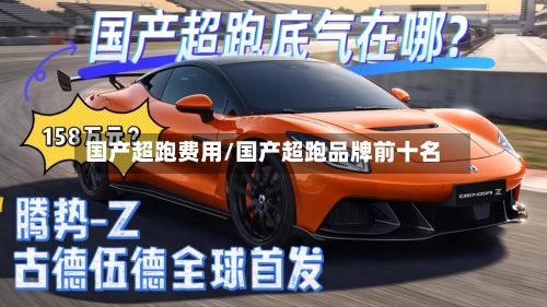 国产超跑费用/国产超跑品牌前十名