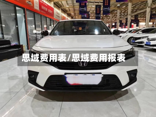 思域费用表/思域费用报表