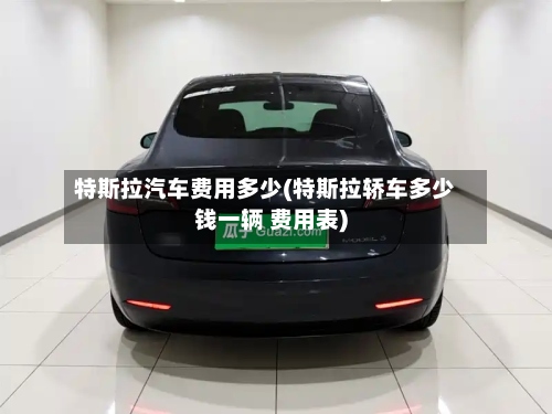 特斯拉汽车费用多少(特斯拉轿车多少钱一辆 费用表)