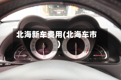 北海新车费用(北海车市)-第2张图片