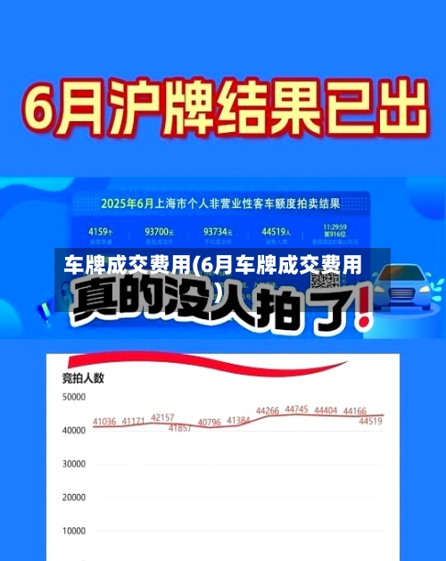 车牌成交费用(6月车牌成交费用)-第2张图片