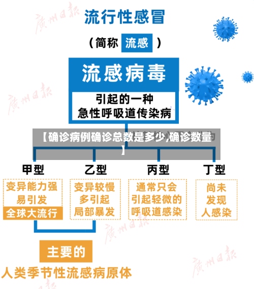 【确诊病例确诊总数是多少,确诊数量】-第3张图片