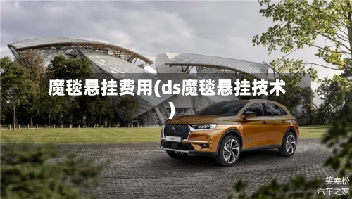 魔毯悬挂费用(ds魔毯悬挂技术)