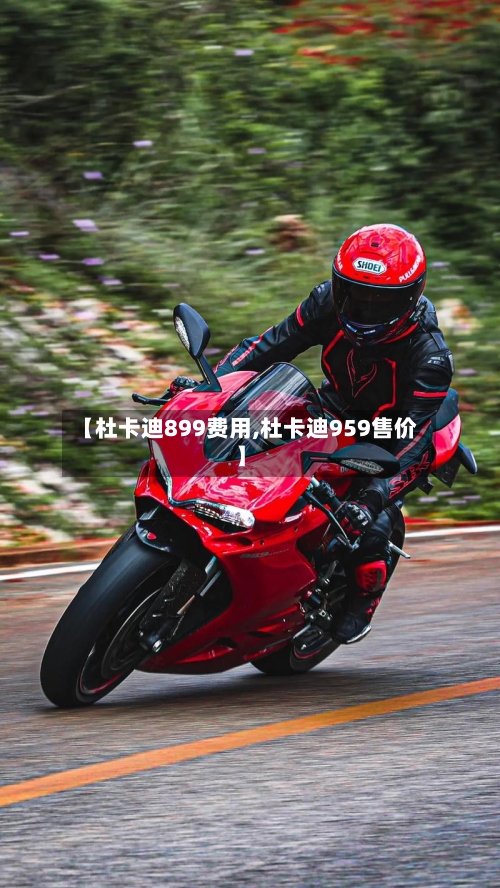 【杜卡迪899费用,杜卡迪959售价】