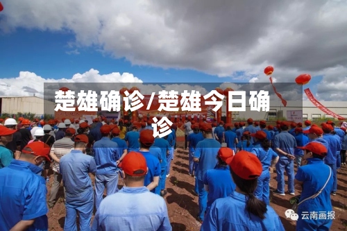 楚雄确诊/楚雄今日确诊-第3张图片