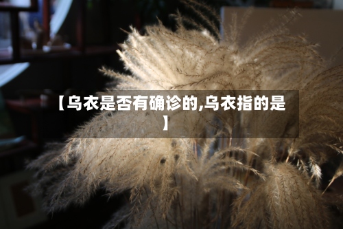 【乌衣是否有确诊的,乌衣指的是】
