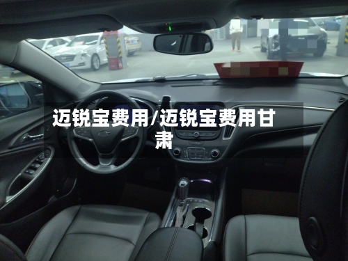 迈锐宝费用/迈锐宝费用甘肃